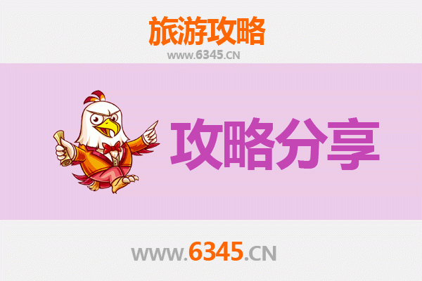 沧州新华旅游攻略：跟团与自由行深度对比