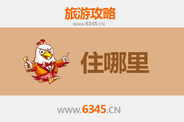 沧州新华区旅游住宿全攻略：舒适与经济并存的理想选择